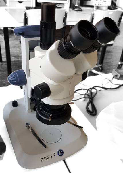 mikroskop_stereoblue.jpg mikroskop_stereoblue.jpg